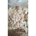 Best price wholesale Natural Pumpkin seeds